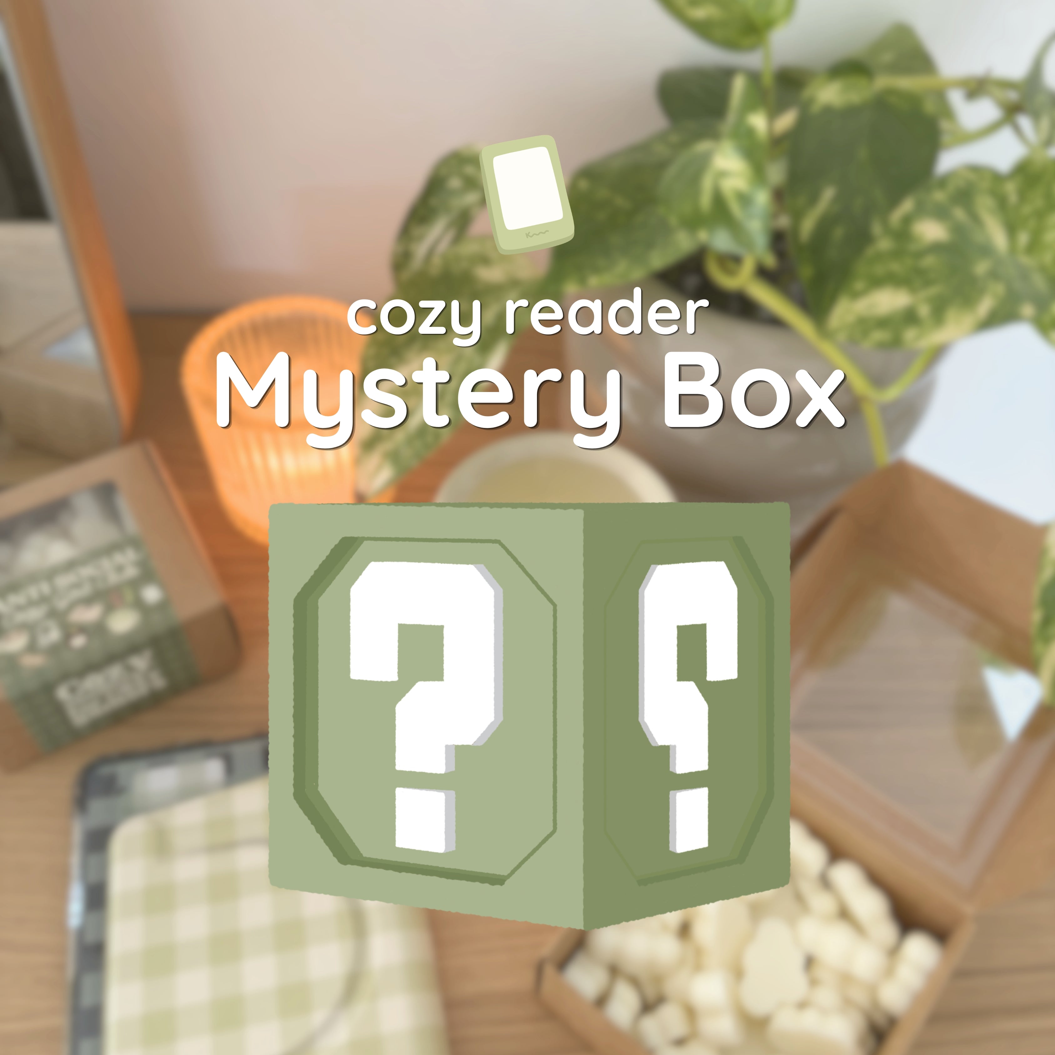 Mystery Box Cozy Reader