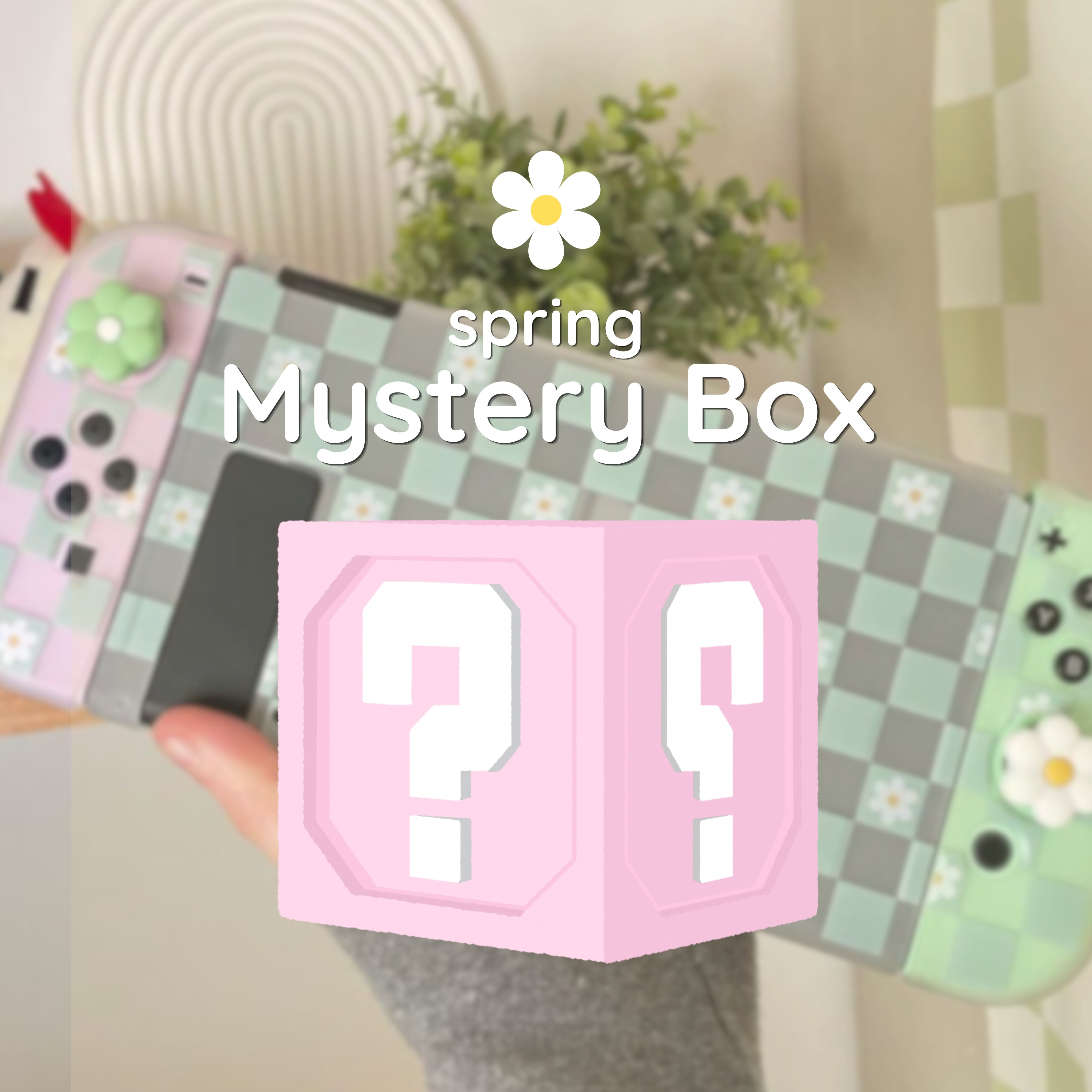 Mystery Box Spring