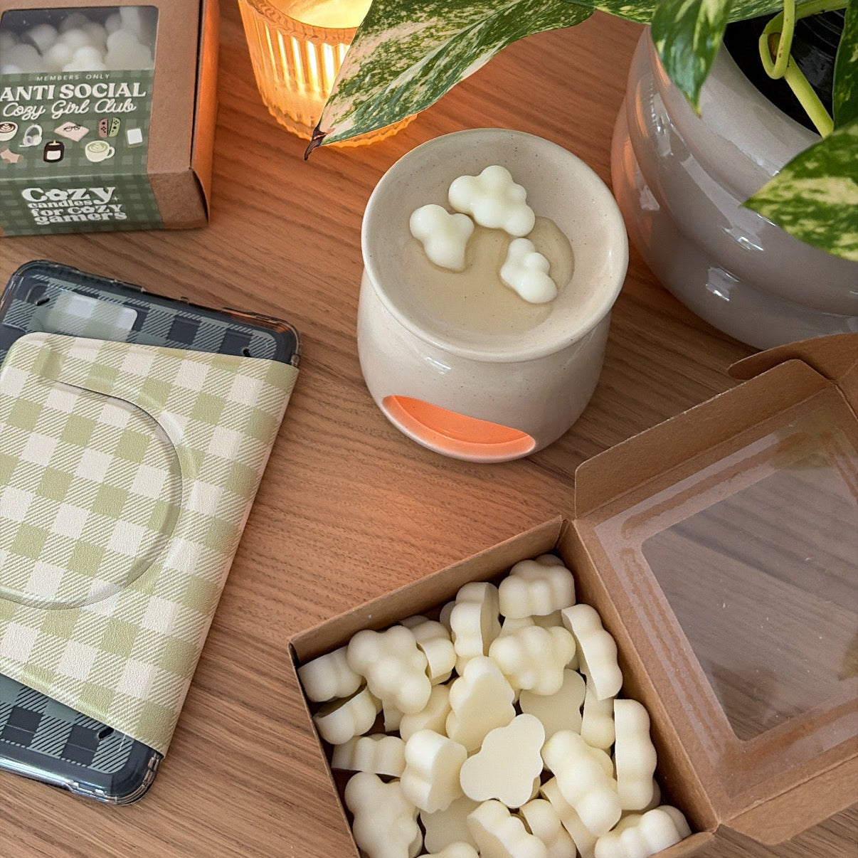 antisocial cozy girl club mini wax melts