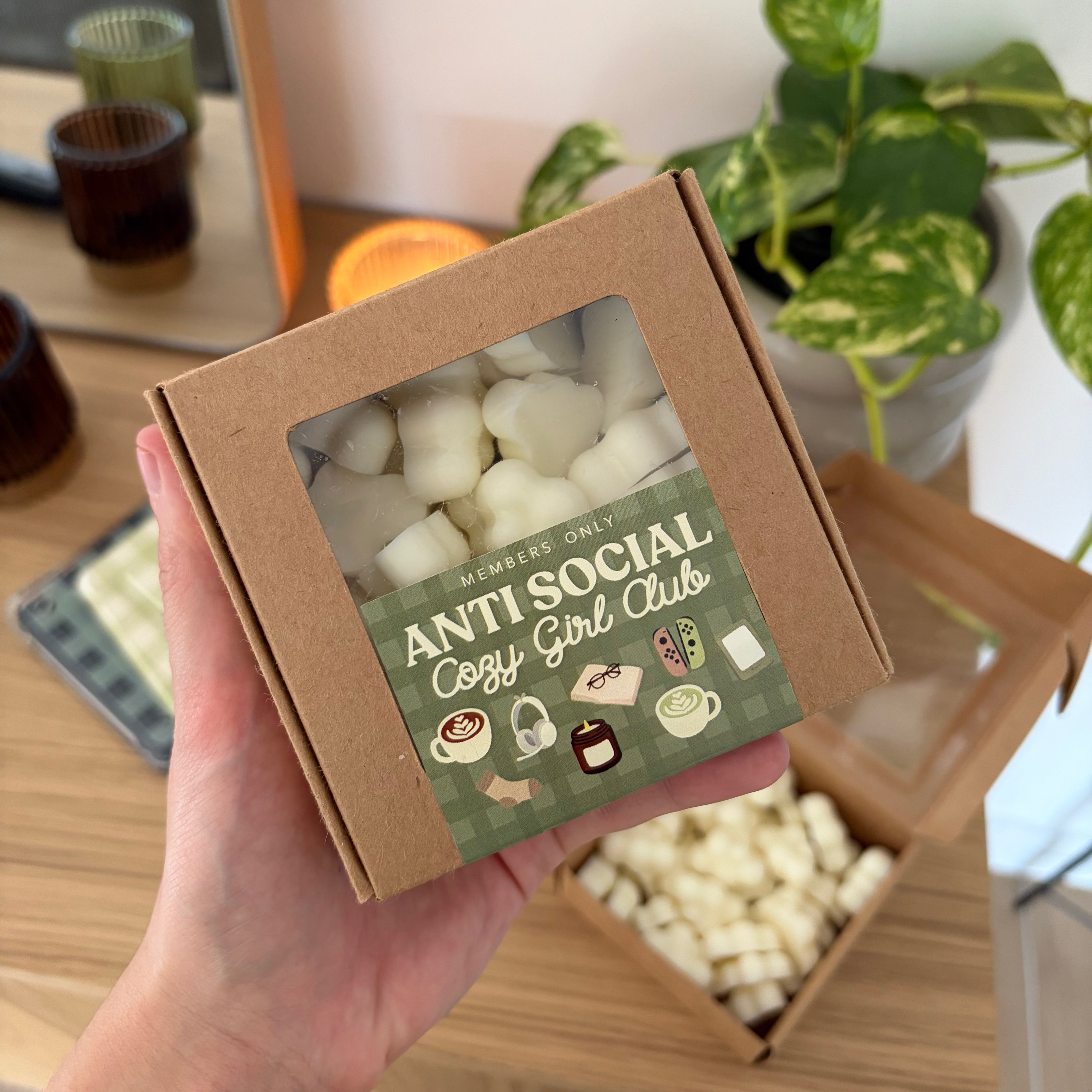 antisocial cozy girl club mini wax melts