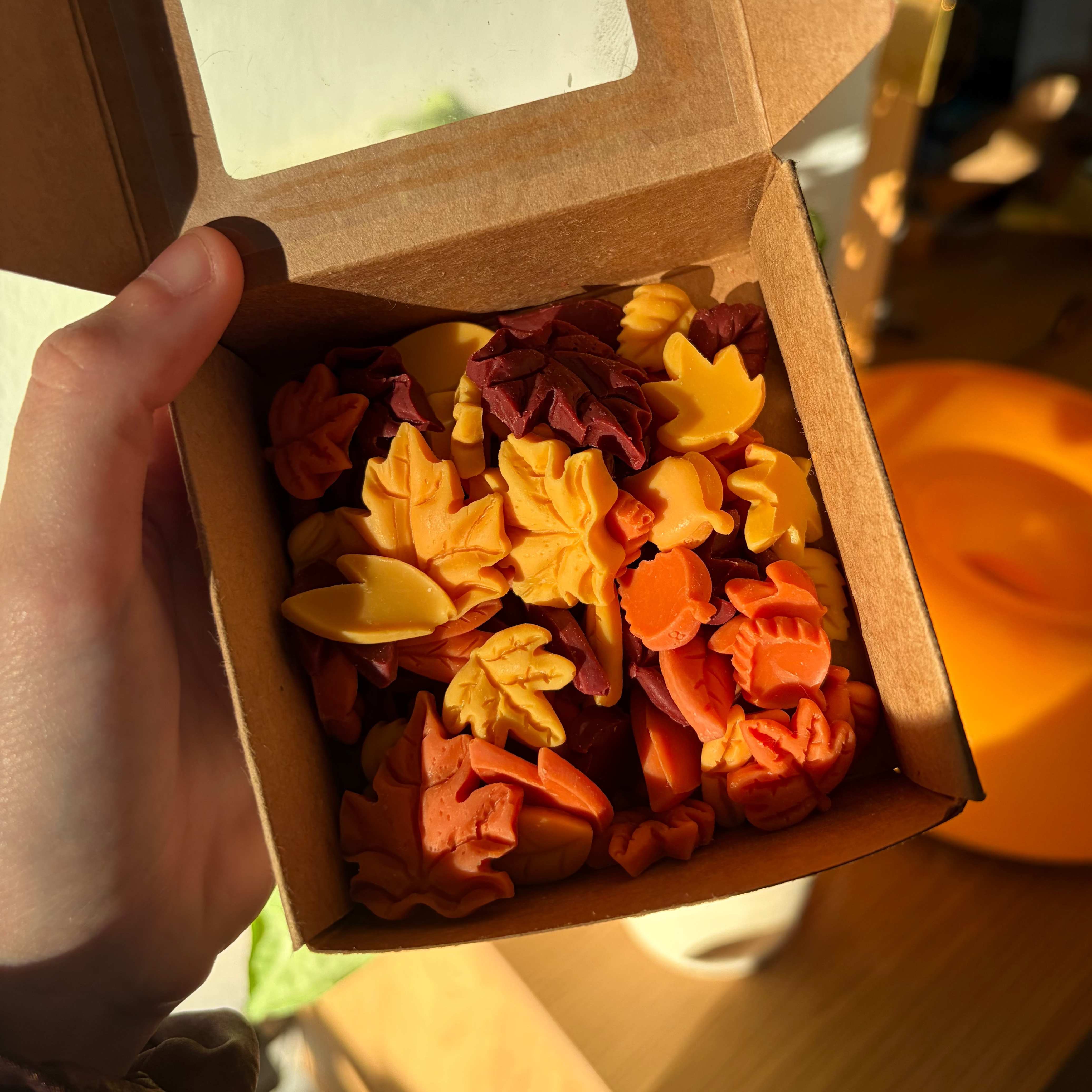 autumn campfire & marshmallow wax melts