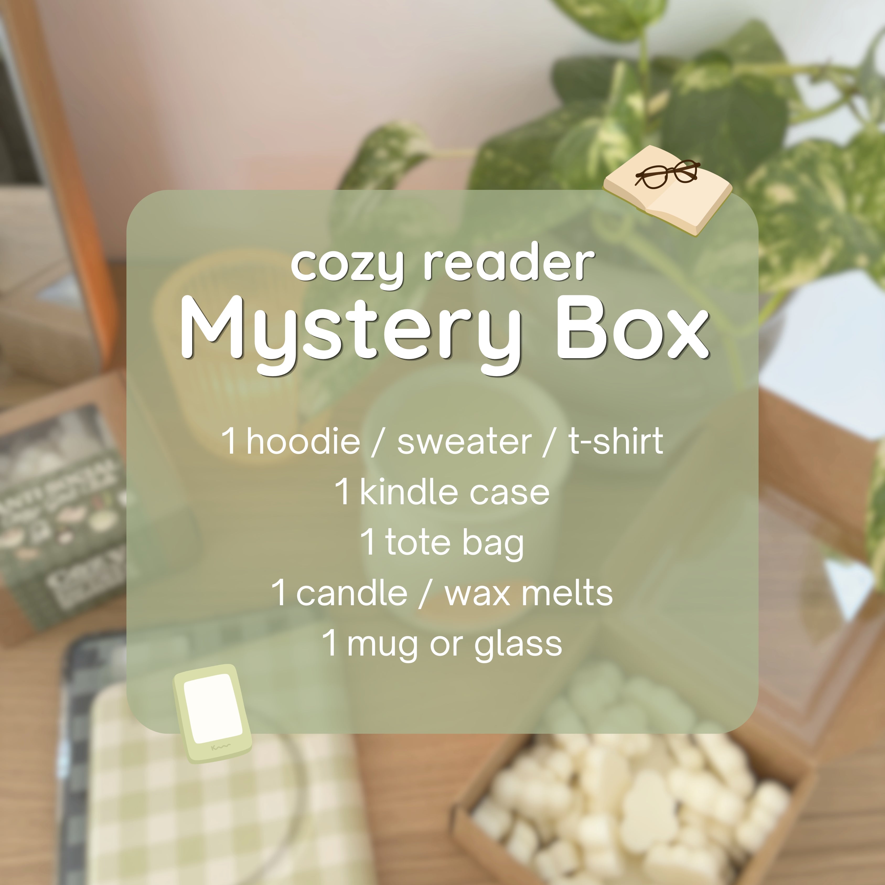 Mystery Box Cozy Reader