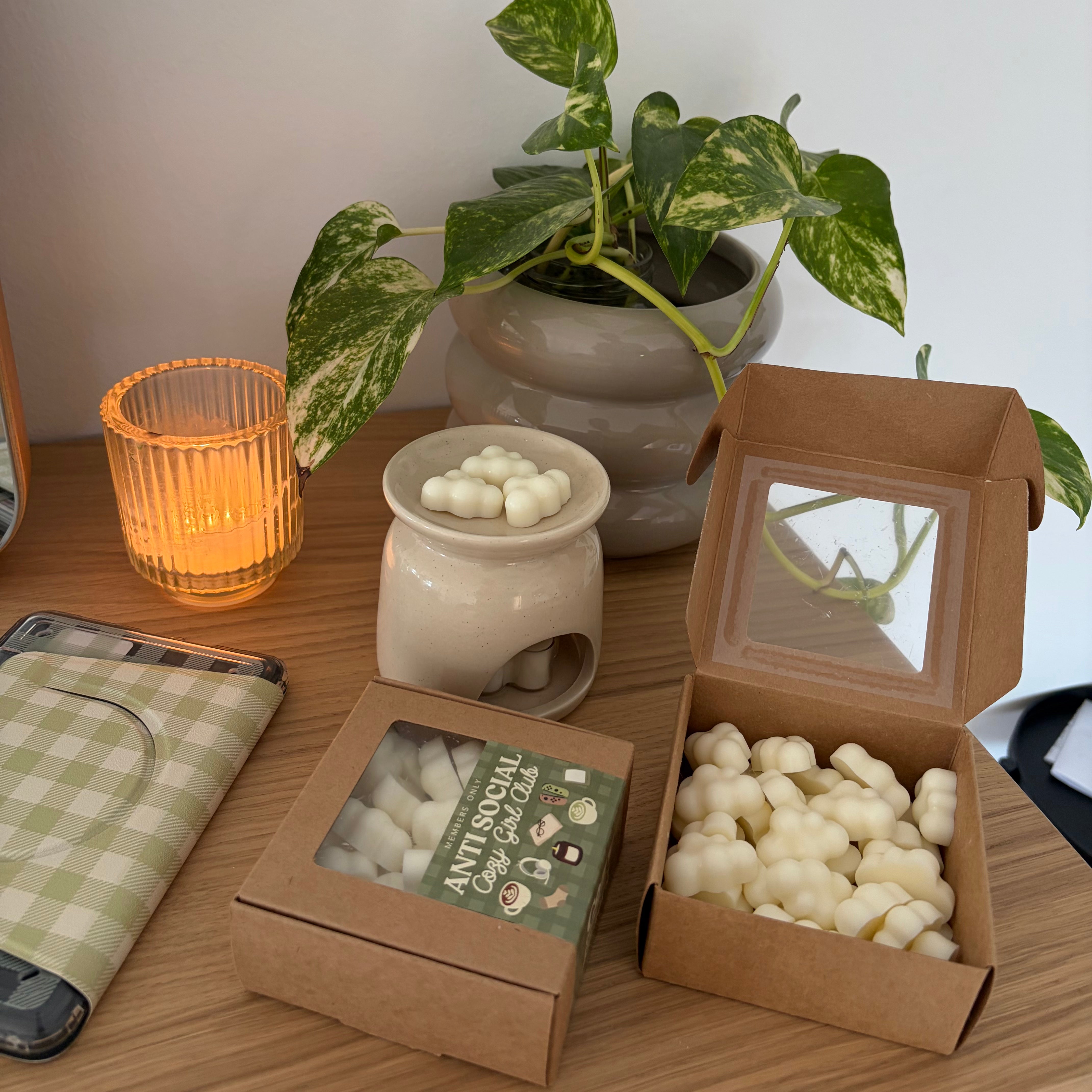 antisocial cozy girl club mini wax melts