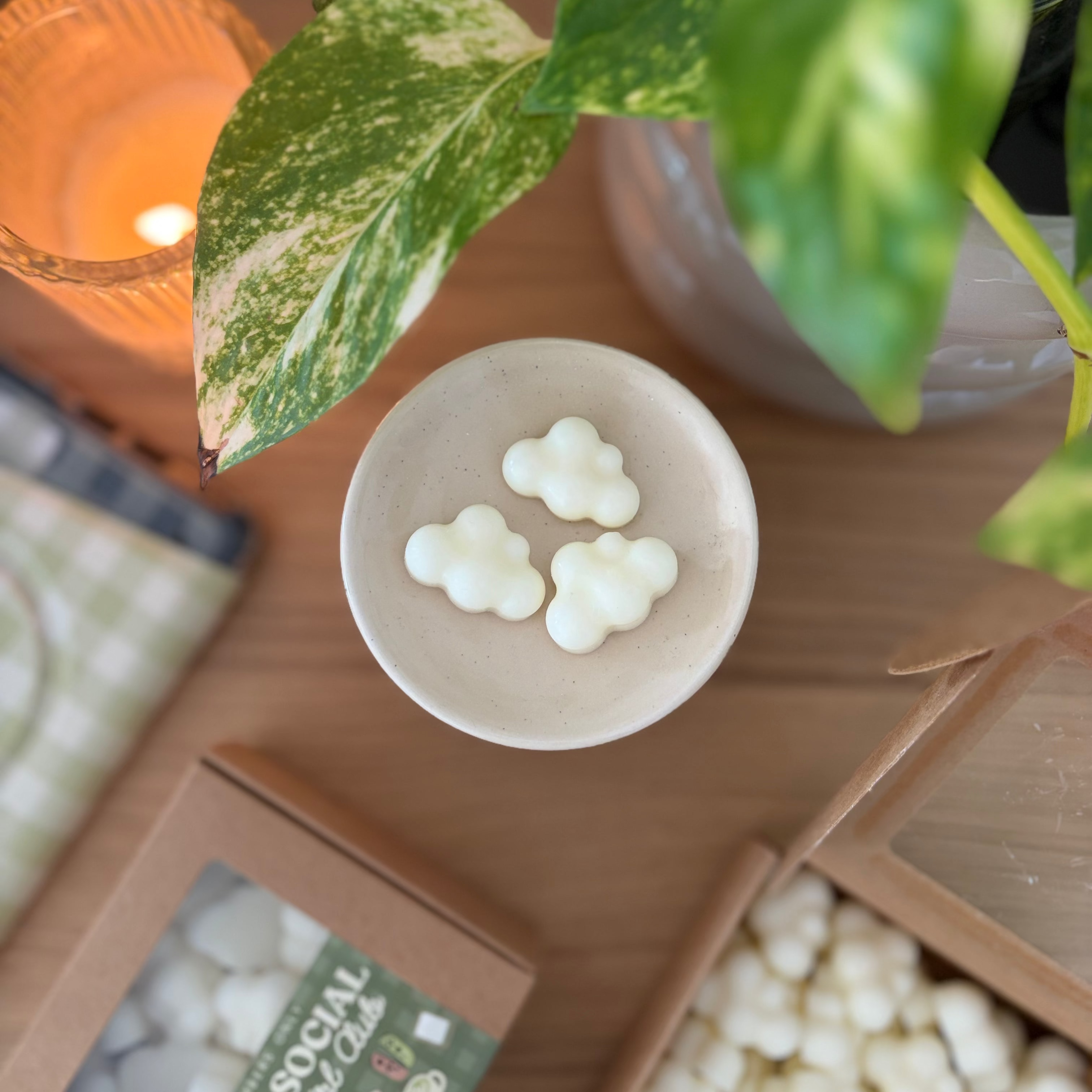 antisocial cozy girl club mini wax melts