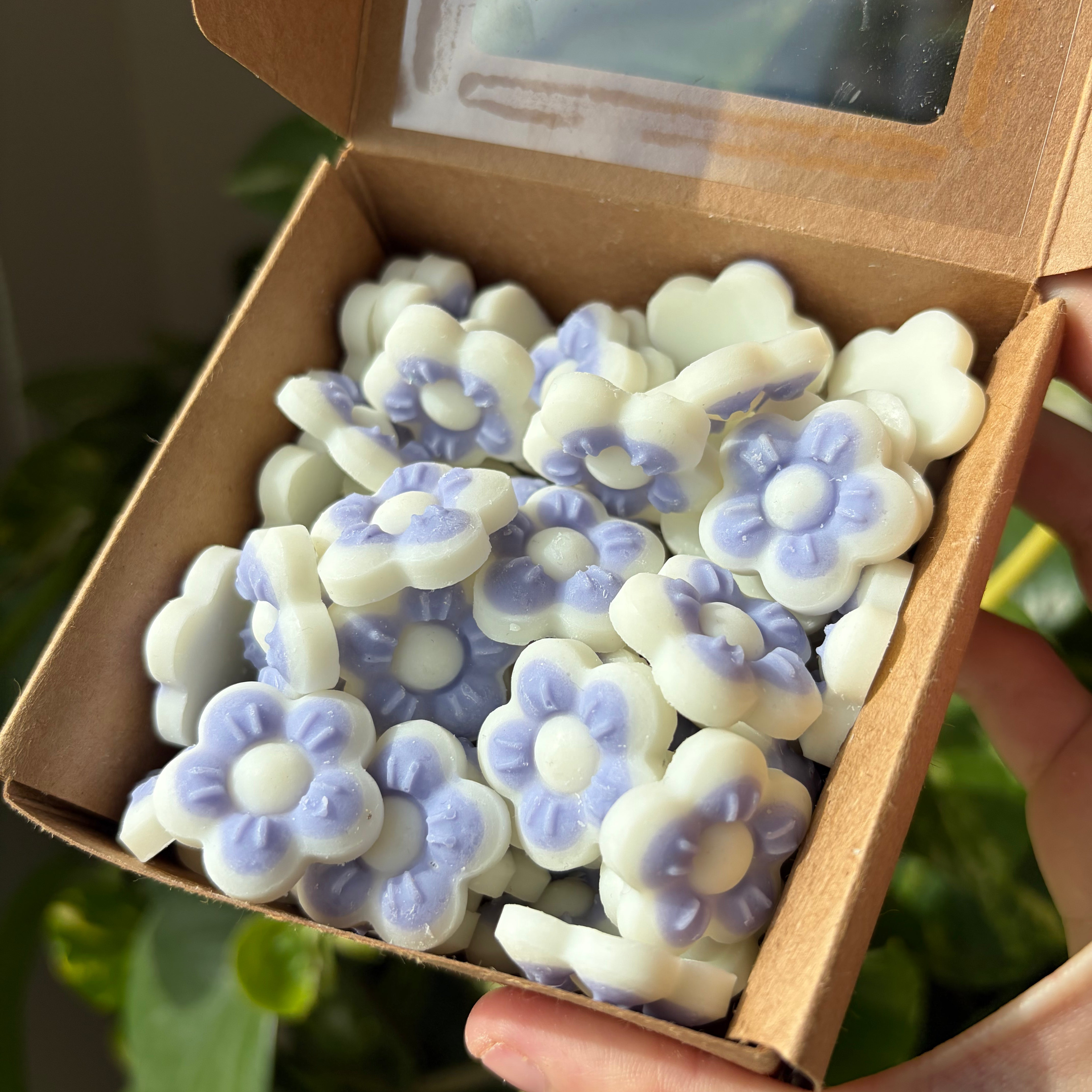 i'm play pokepokopia mini wax melts